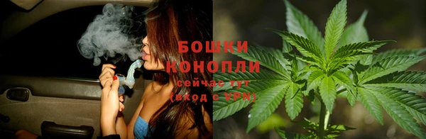 ПСИЛОЦИБИНОВЫЕ ГРИБЫ Аркадак