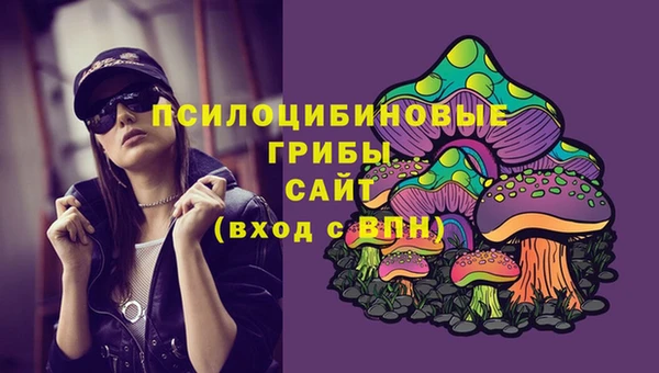 ПСИЛОЦИБИНОВЫЕ ГРИБЫ Аркадак